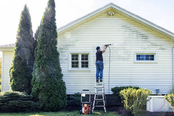 Best Patio and Deck Pressure Washing  in Wrightsville, AR